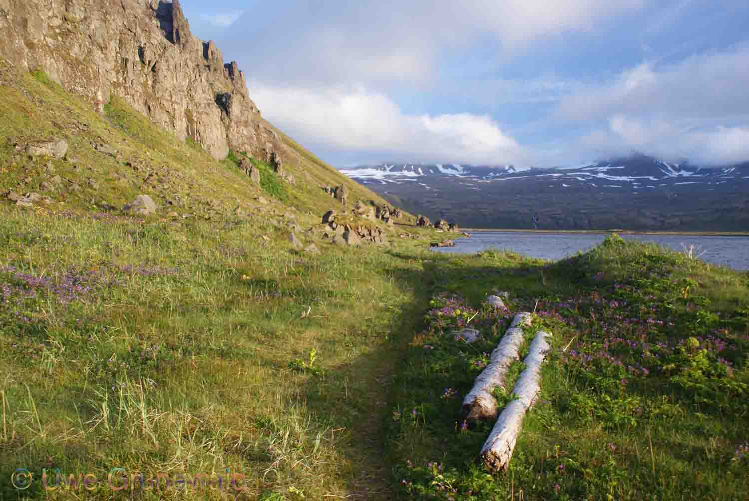 Islands Westfjorde - Westfjorde - Unique Iceland
